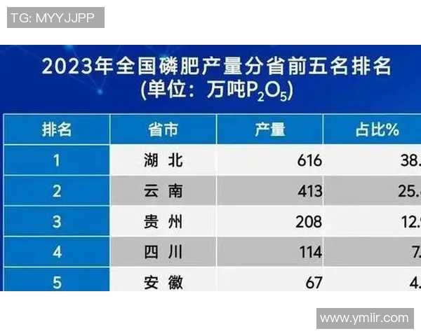 武汉排球队近期状态分析与未来发展趋势探讨